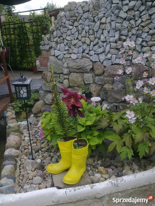 Sprzedam altanę na działce Bajecznej siatka Szczecin