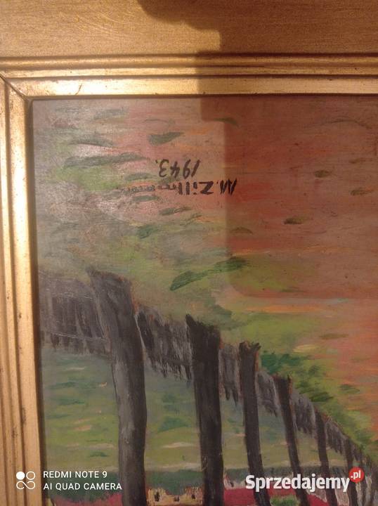 Obraz na sklejce w złotej ramie 67 x 545 Szczecin