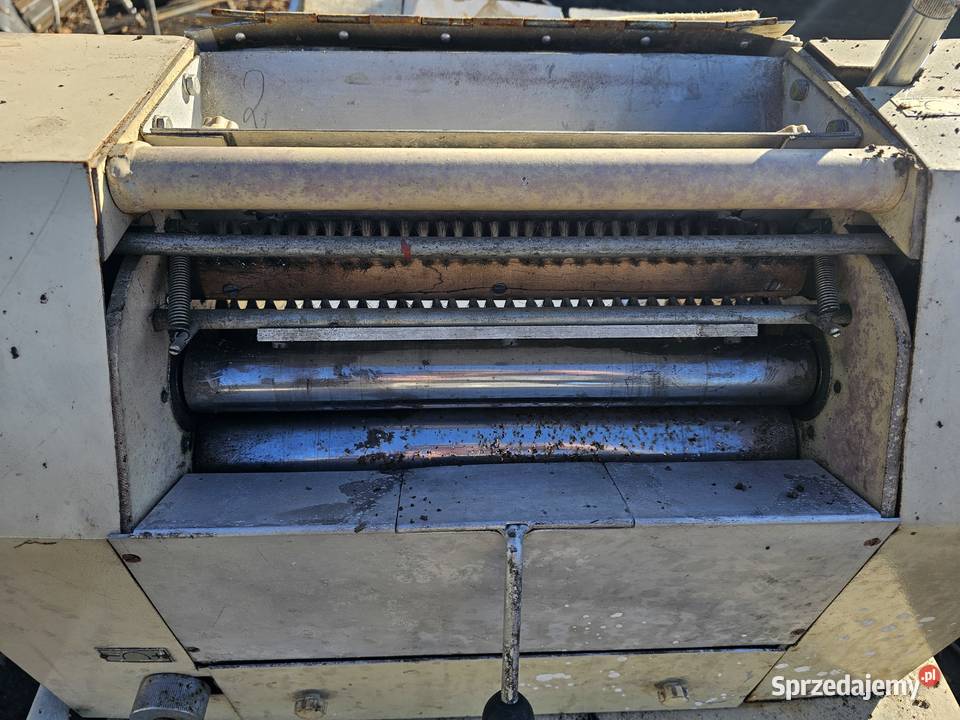 Rogalikarka Spomasz Żnin Drzewica