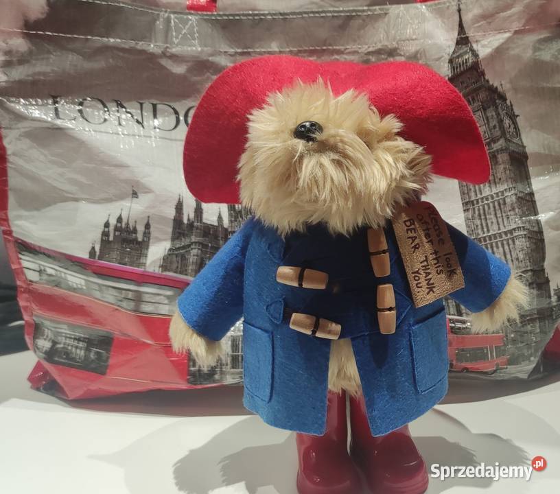 Miś PADDINGTON Oleśnica