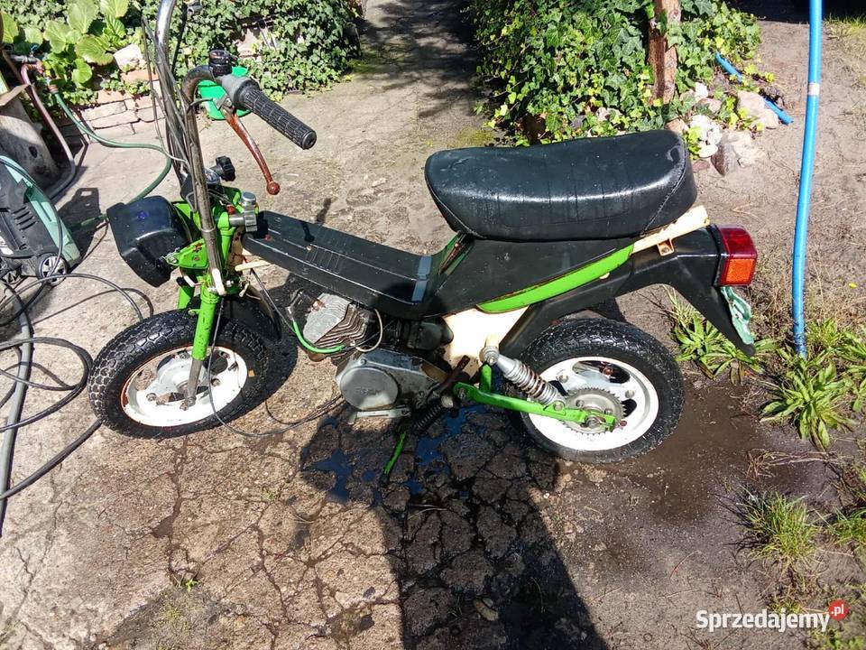 Motorynka Stella wielkopolskie Wierzbinek