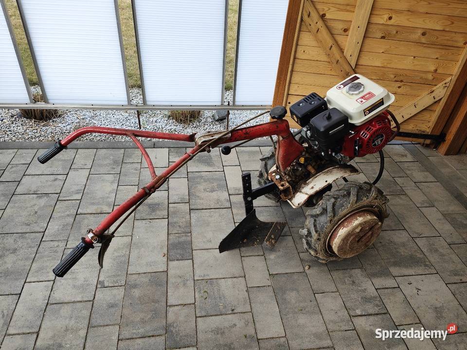 Glebogryzarka małopolskie