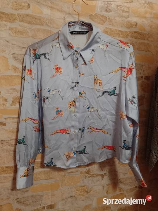 34XS ZARA Ekskluzywna koszula bluzka w psy z kolorowy