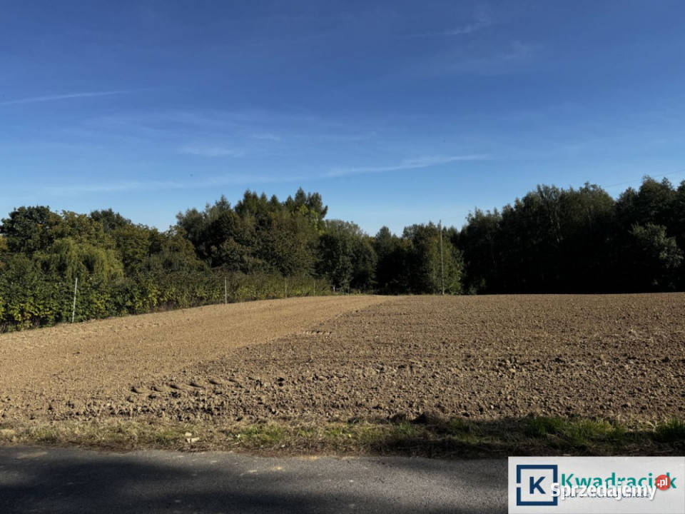 Działka 3000m2 Cierpisz