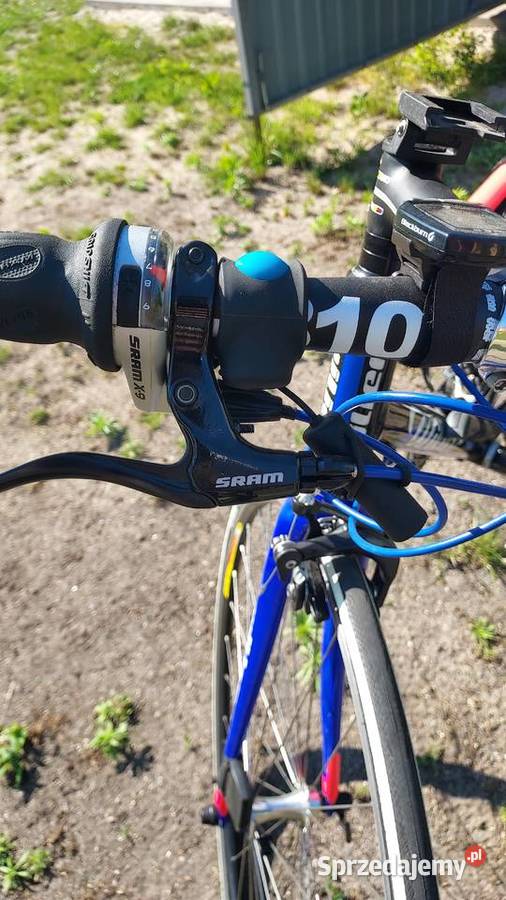 Willier La Triestina OKAZJA Warząchewka Królewska