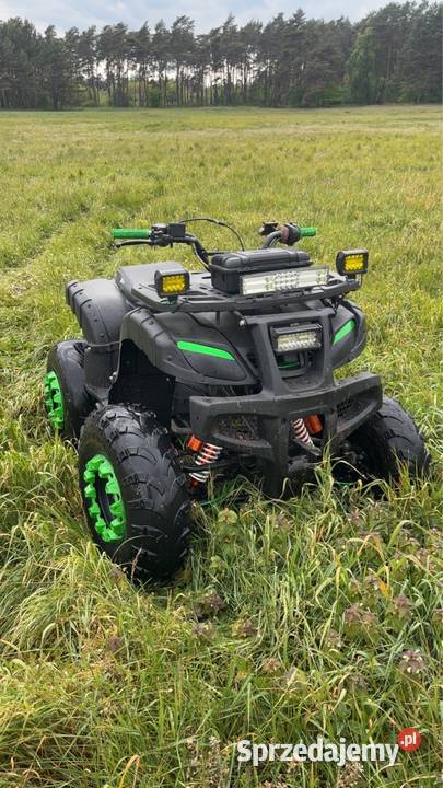 Xtr hummer 250 najtańszy