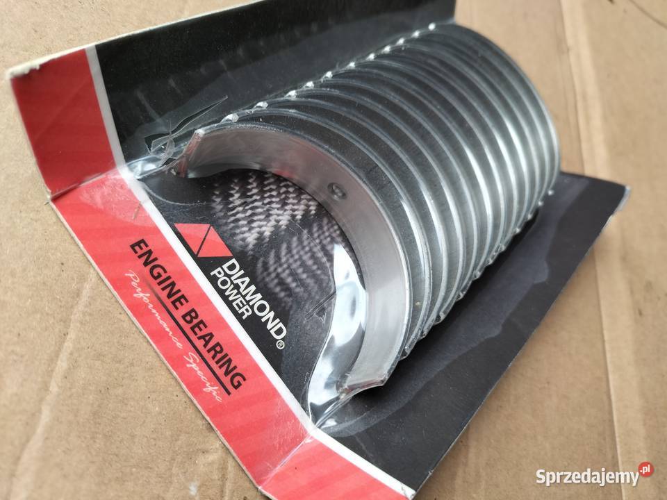 PANEWKI SILNIKA WAŁU Kamień-Kolonia