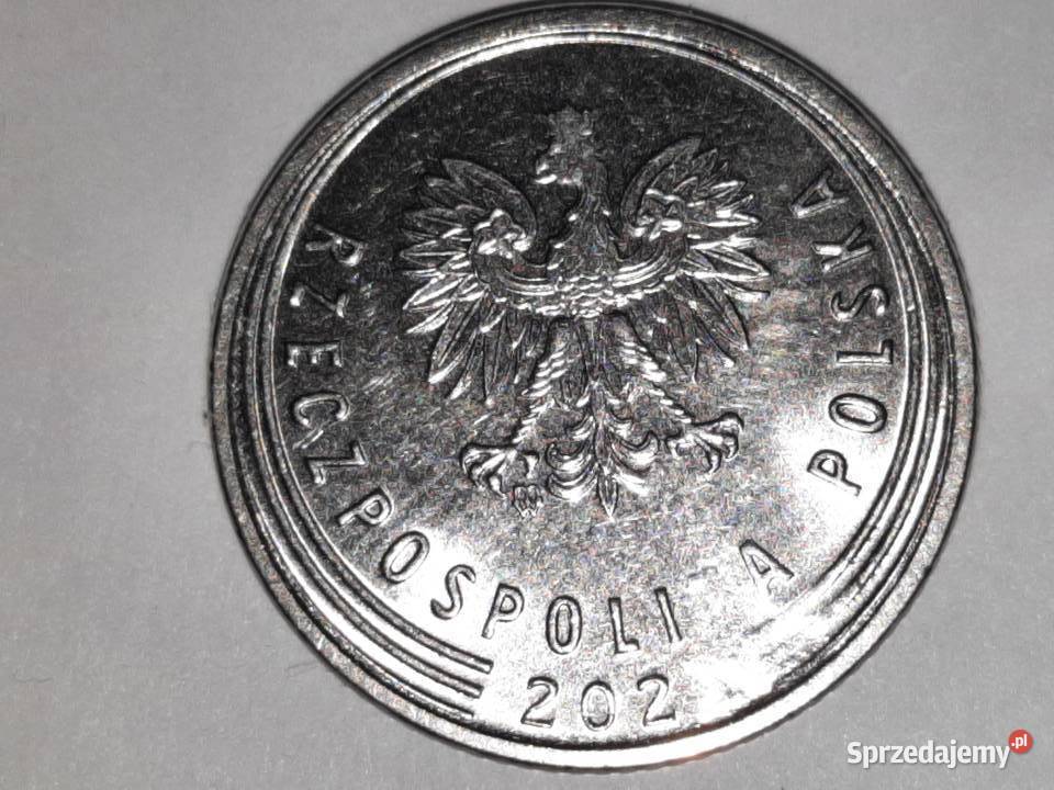 Destrukt 20 groszybrak cyfry w dacie 202 litery Poznań sprzedam