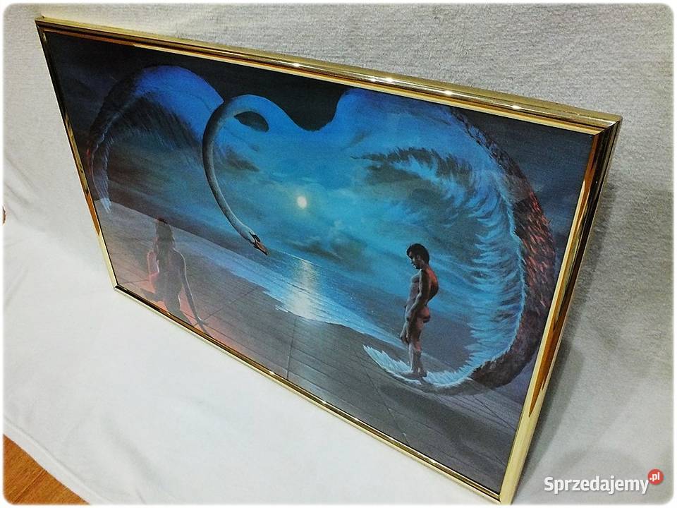 Duży Obraz Skrzydła miłości Stephena Persona z lubuskie Żary