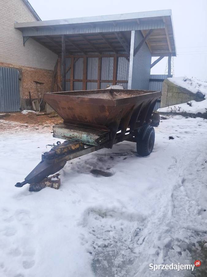 Rcw3 Klonownica Mała