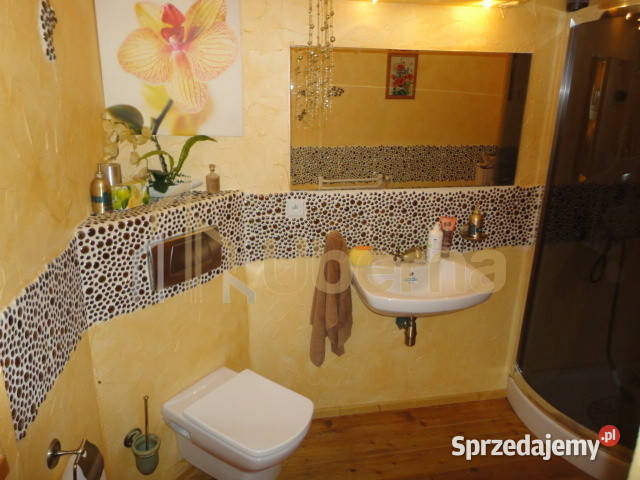 Ogłoszenie dom wolnostojący Szczecin 420m2 balkon sprzedam