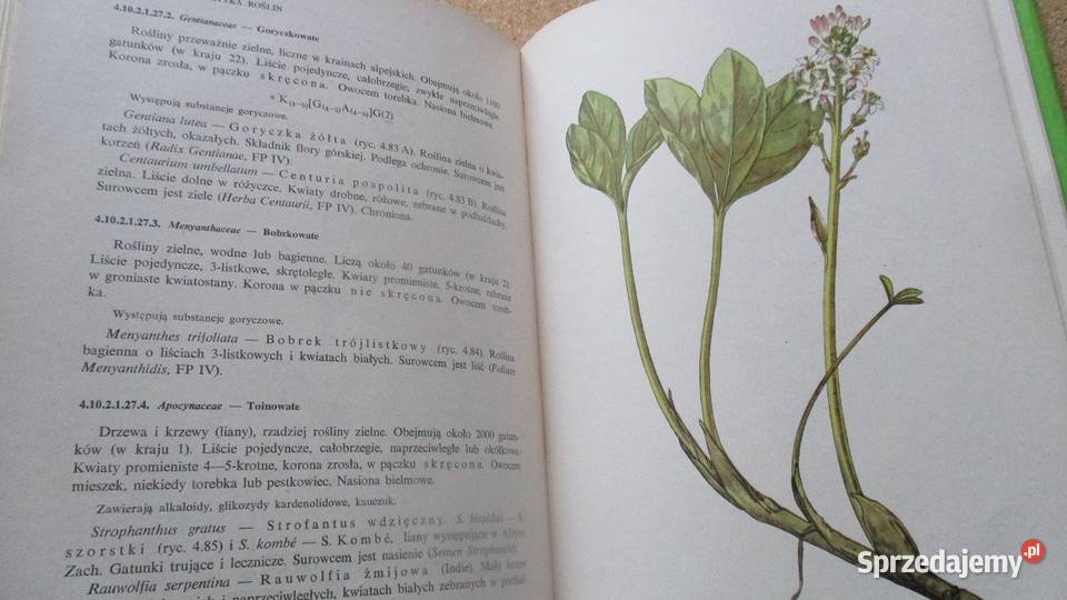 Zarys botaniki farmaceutycznej Broda botanika Łódź