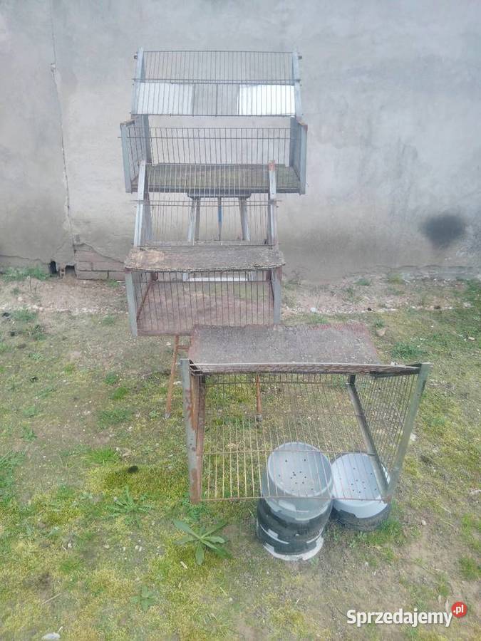 Sprzedam wloty do gołębi Tuszyn