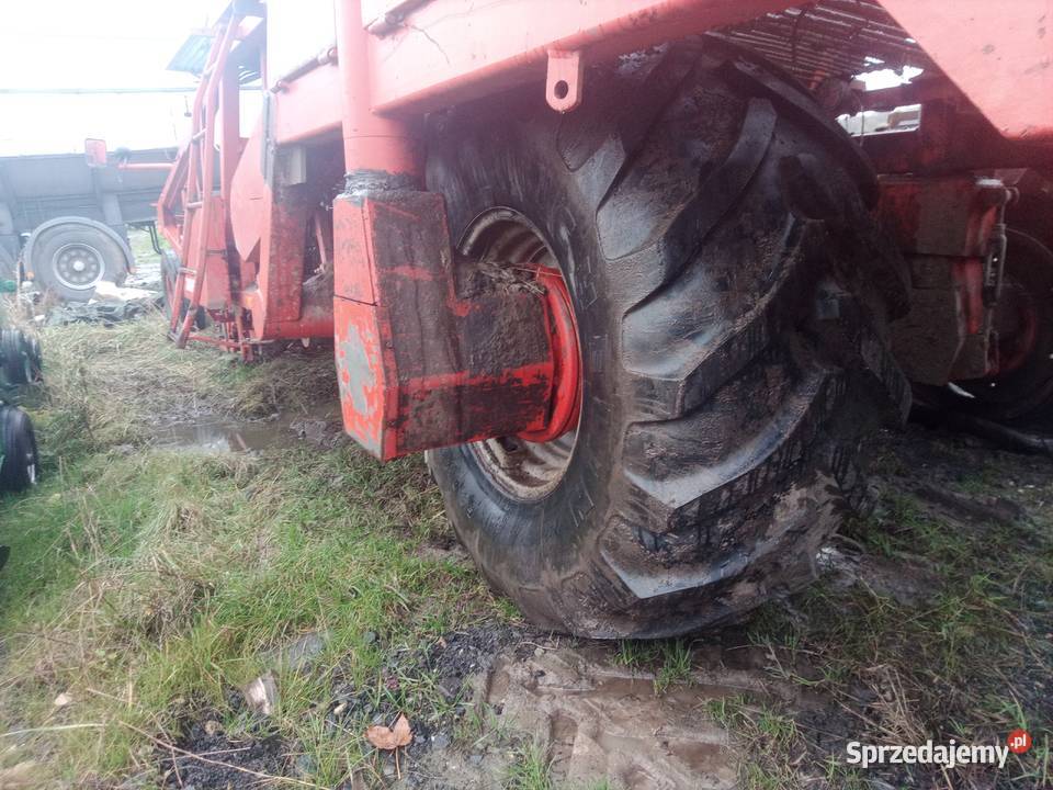 Amac Zm 2 kombajn do ziemniaków samojezdny Bytom Odrzański