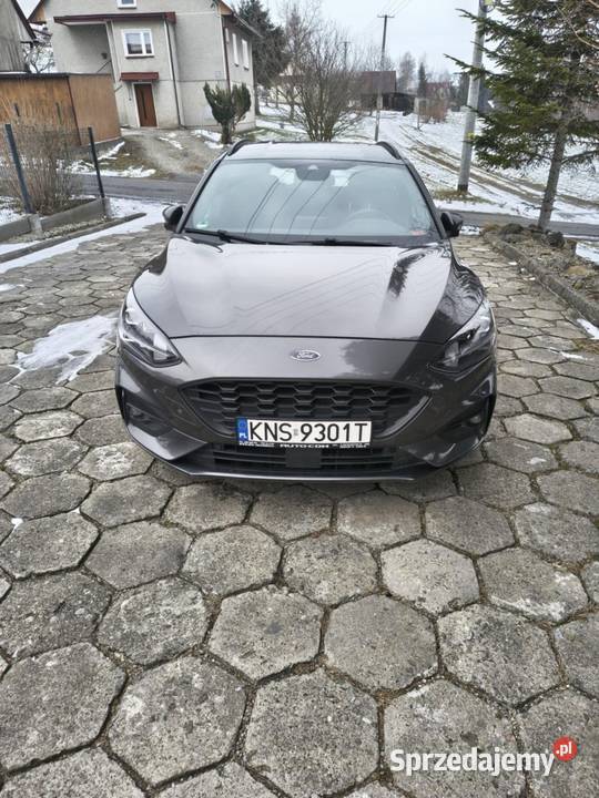 Ford focus stline 2019 Grybów