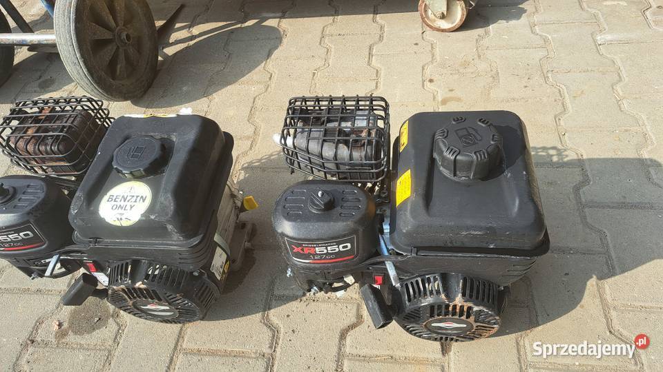 Silnik Briggs X550 wałek19mm Silnik i osprzęt Cieszyn sprzedam