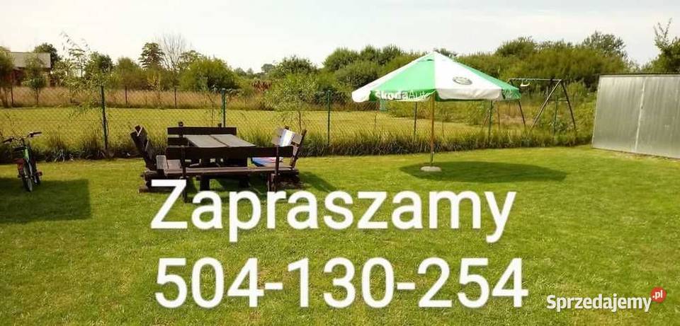 Pole namiotowe kempingowe Sarbinowo