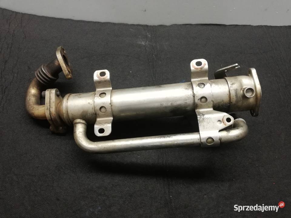 Volkswagen 20 TDI chłodnica spalin Układ chłodzenia sprzedam