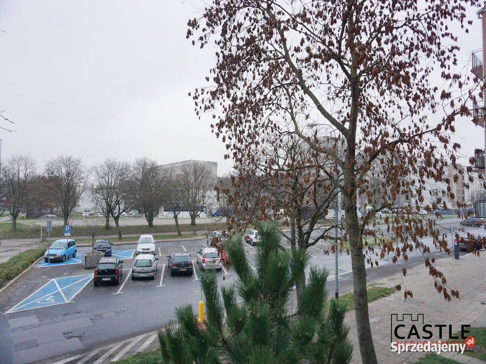 2 pokoje I zaraz I Śródmieście I pary singla