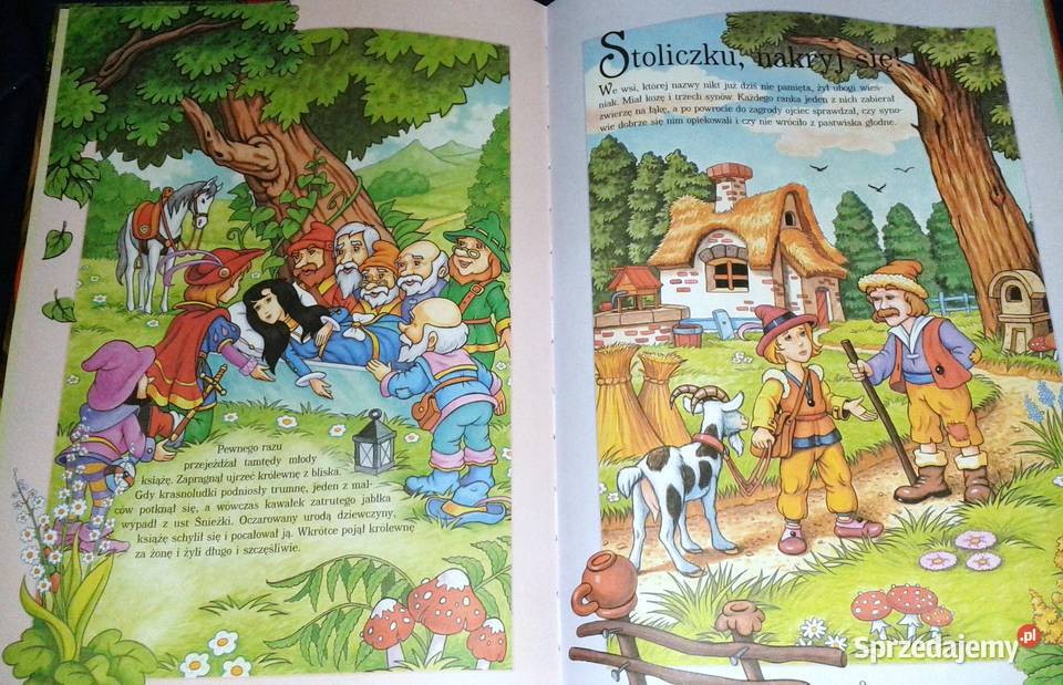 Baśnie dzieci Jacob i Wilhelm Grimm lubelskie Chełm