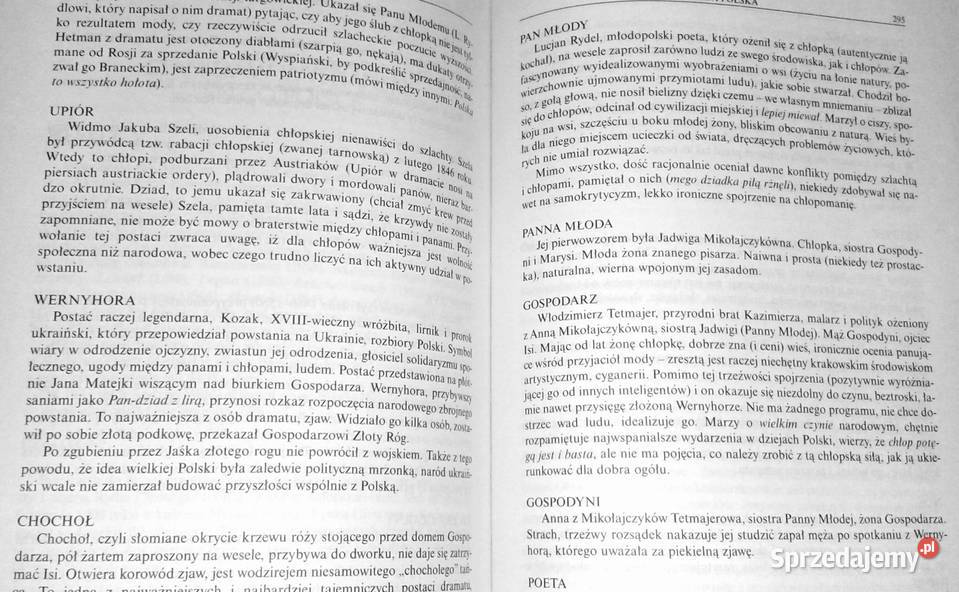Repetytorium z języka polskiego Maciej Rok wydania 2003 Chełm