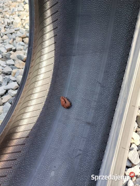 Opony zimowe Pirelli 2254518 Medynia Łańcucka