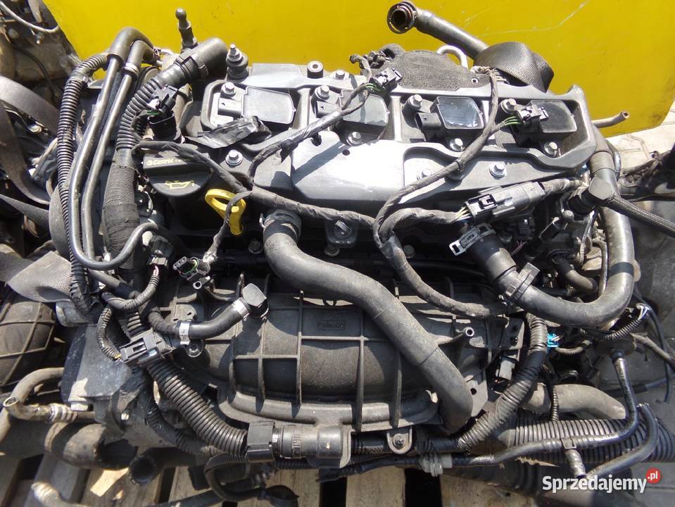 FORD FIESTA MK7 FOCUS MK3 16 ST 13r 200 silnik Silniki kompletne świętokrzyskie Suków