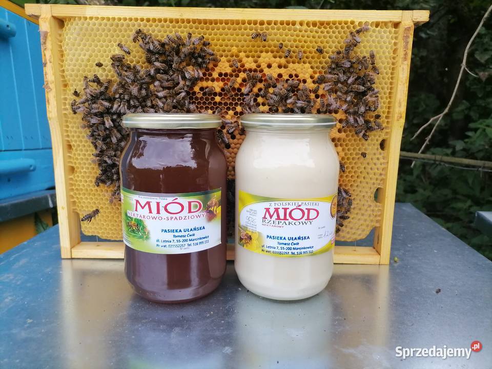 Miód z własnej pasieki rzepakowy akacjowo Marcinkowice sprzedam