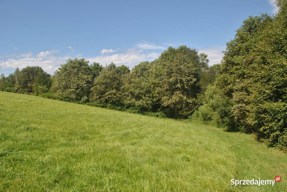 Do sprzedania domek w lesie Bączal Dolny