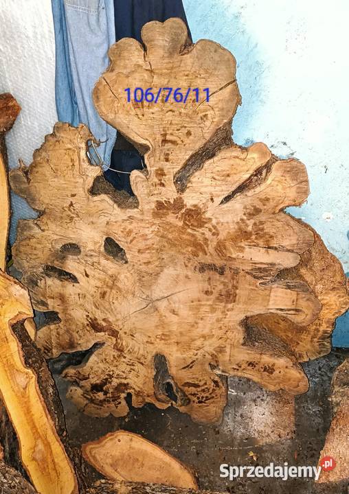 Oliwkadeskiplastry pieńki podkarpackie Mielec