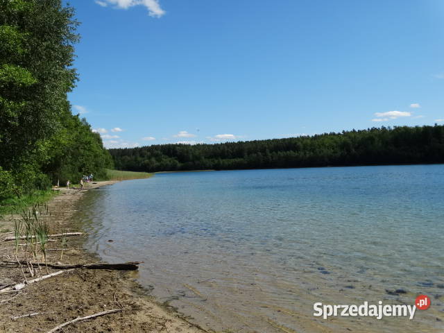 Działka na Kaszubach w bliskim otoczeniu lasów i Bytów