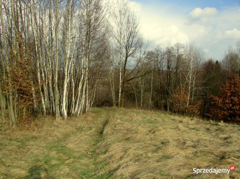 Urzekające ranczo na dużej działce ogromny 13500m2 Nieruchomości Laskówka