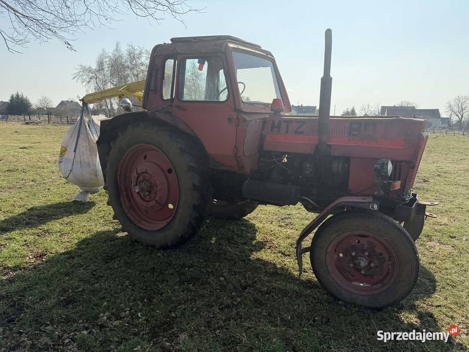 Sprzedam ciągnik mtz 80 dolnośląskie Grzymalin