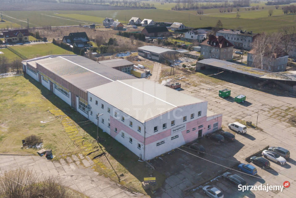 wynajmu lokalu 3000m2 Cedry Wielkie M pomorskie sprzedam