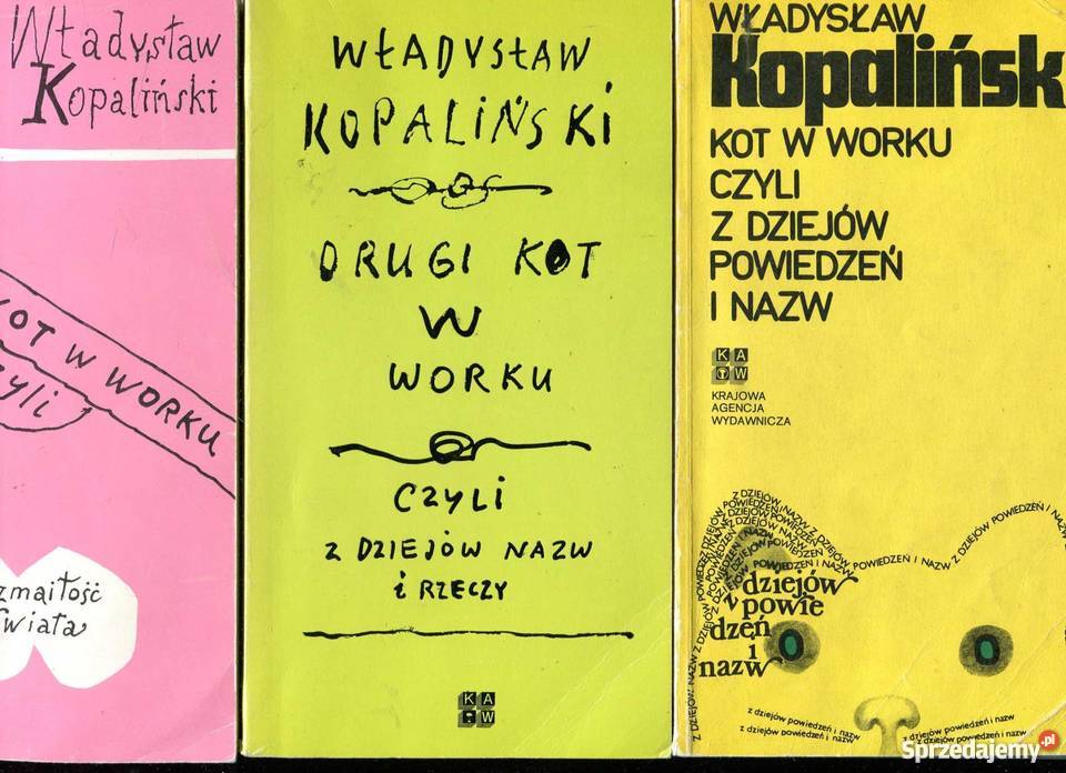 Kot W Worku Drugi Kot W Worku Trzeci Kot W Worku Czyli Szczecin