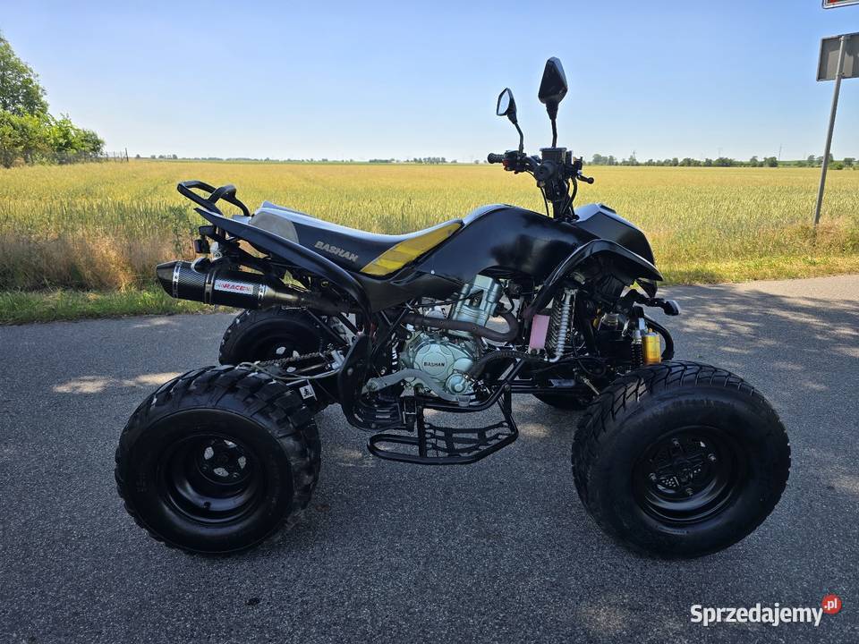 Quad Bashan Bs 250cc Duża Rama 41R Ciecz 2014r Kruszwica