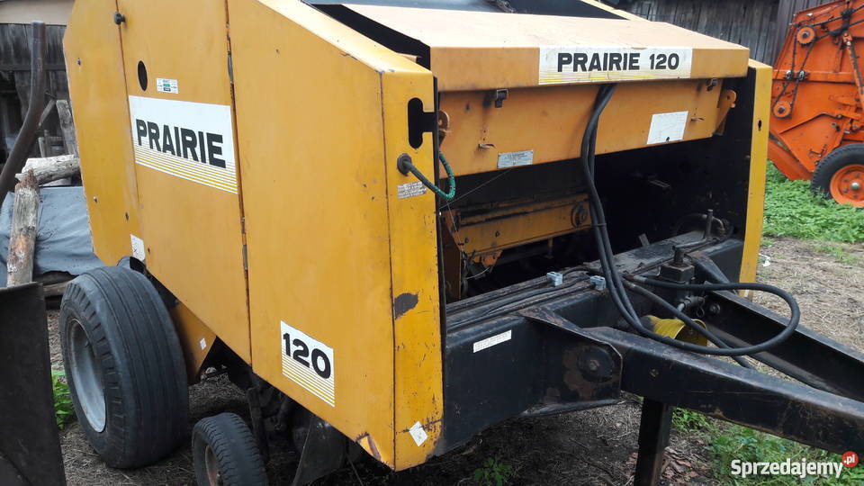 prasa carraro Rojewo