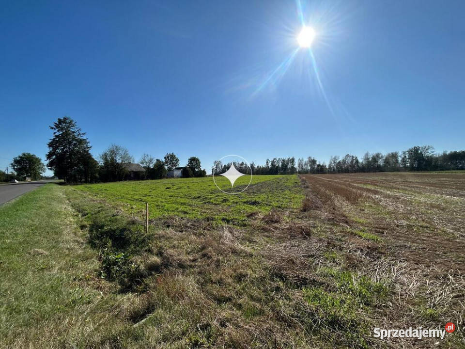 Działka z warunkami zabudowy 2000 m Brzostówiec 50m lubelskie