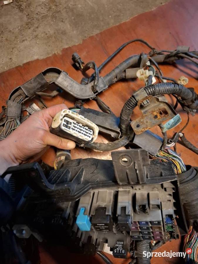 Wiązka instalacja elektryczna silnika skrzynka Układ elektryczny, zapłon Przyborów