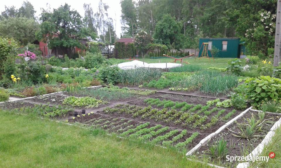 Działka RODO 300m2 położona w Ogrodzie 10 w