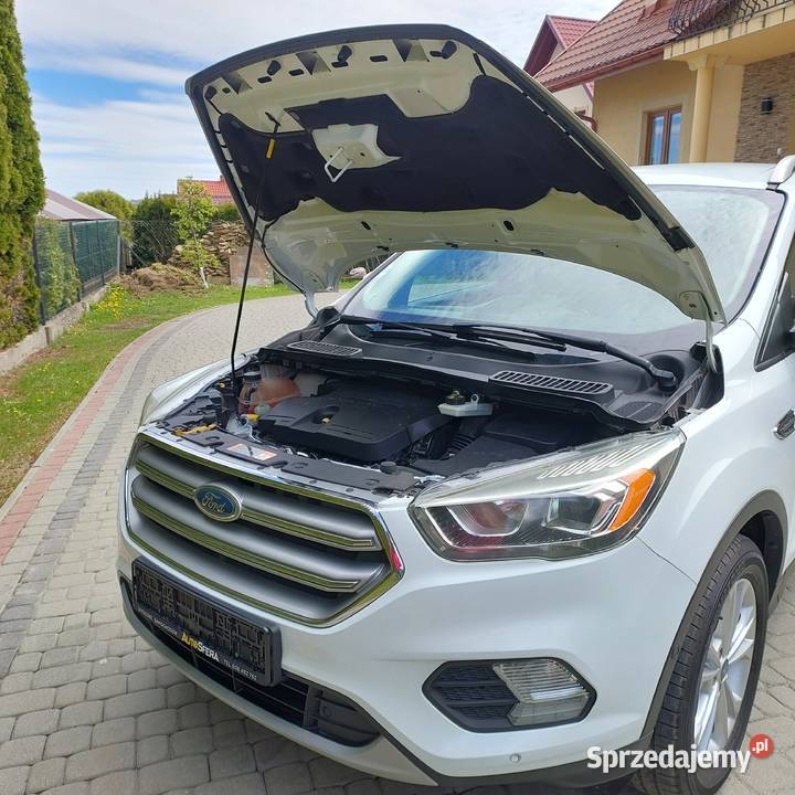 Ford Kuga 20Tdci168 ORYGINALNY LAKIERSam sprzedam