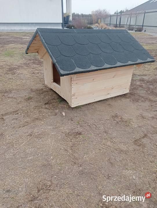 Buda psa legowisko Pionki