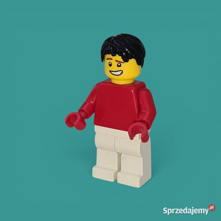Lego Classic Boy Plastik  Warszawa