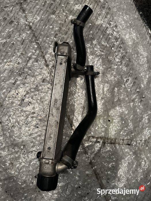PEUGEOT XPS 50 Chłodnica Węże Korek M65 wielkopolskie Poznań