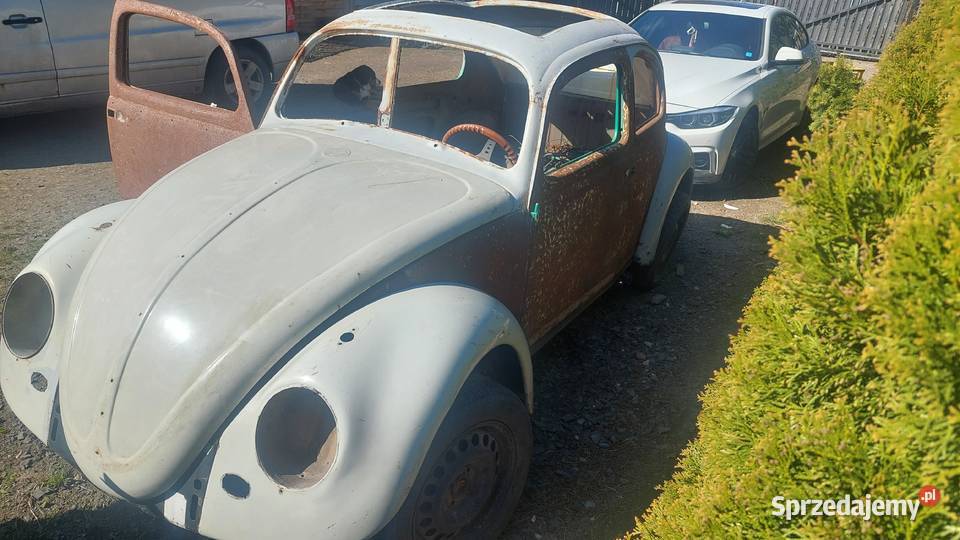 Vw garbus projekt rat rod Frankenstein do Zgorzelec