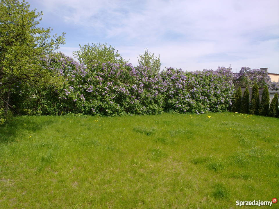 Działka budowlana nowa Pelplin