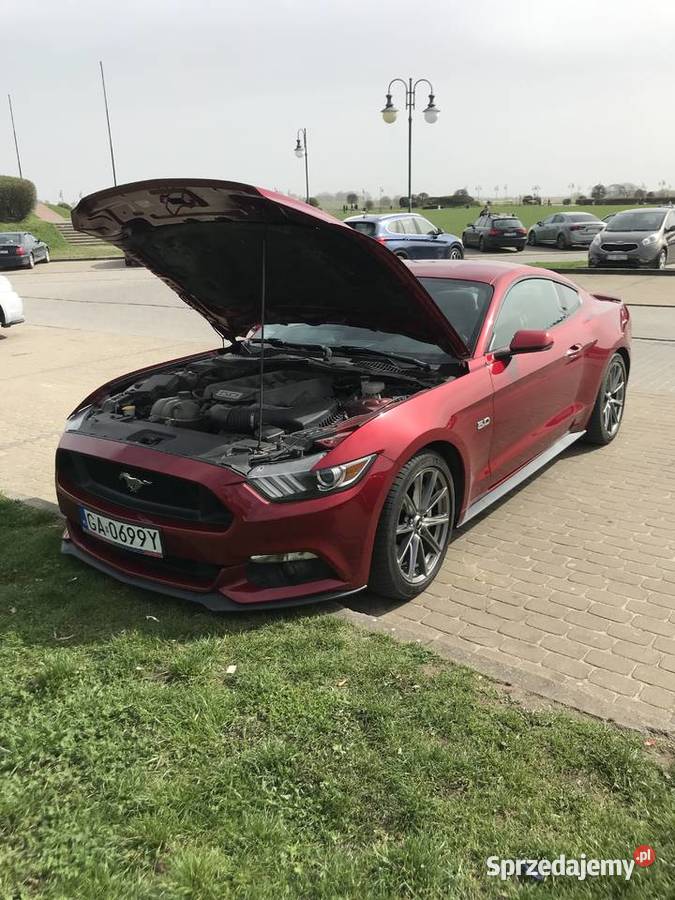 Mustang 2015 GT 50 Full wyposarzenie Tczew