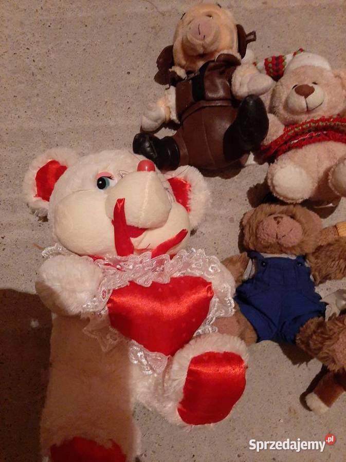 Pluszaki miś misie maskotki różne rodzaje Gorlice