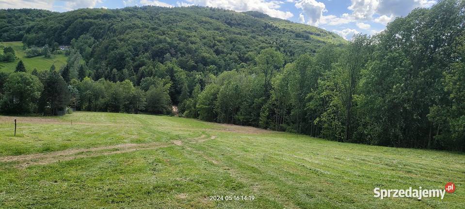 Sprzedam działkę widokową Raciechowice