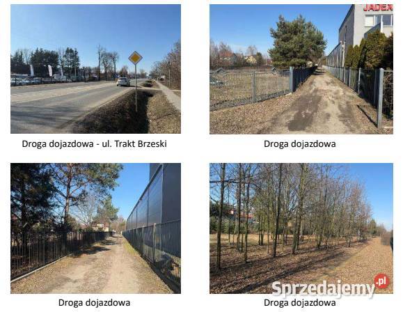 Działka w Sulejówku 1700m2 Sprzedaż Sulejówek